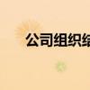 公司組織結構圖簡圖（公司組織結構）