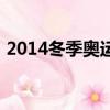 2014冬季奧運會獎牌榜（2014冬季奧運會）