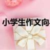 小學生作文向導（關于小學生作文向導簡介）