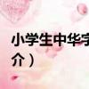 小學生中華字詞典（關于小學生中華字詞典簡介）