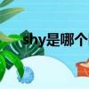 shy是哪個隊伍的（shy是哪個戰隊的）