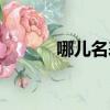 哪兒名表回收（哪里名表回收）