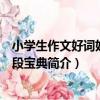 小學生作文好詞好句好段寶典（關于小學生作文好詞好句好段寶典簡介）
