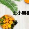王小寶犯了什么事（王小寶打人）