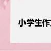 小學生作文（關于小學生作文簡介）