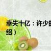 幸失十億：許少的背債妻（關于幸失十億：許少的背債妻介紹）
