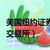 美國紐約證券交易所上市條件（美國紐約證券交易所）