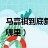 馬嘉祺到底復不復讀高三（馬嘉祺高中復讀選哪里）