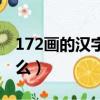 172畫的漢字讀什么拼音（172畫的漢字讀什么）