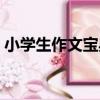 小學生作文寶典（關于小學生作文寶典簡介）
