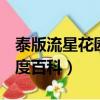 泰版流星花園百度百科ren（泰版流星花園百度百科）