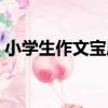 小學生作文寶庫（關于小學生作文寶庫簡介）