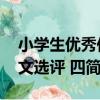 小學生優秀作文選評 四（關于小學生優秀作文選評 四簡介）