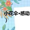 小花傘·感動心兒（關于小花傘·感動心兒簡介）