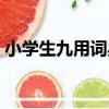 小學生九用詞典（關于小學生九用詞典簡介）