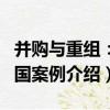 并購與重組：中國案例（關于并購與重組：中國案例介紹）