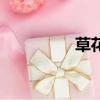 草花蛇能吃嗎（草花蛇）