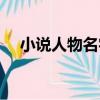 小說人物名字大全女生（小說人物名字）