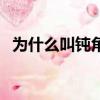 為什么叫鈍角（鈍角是什么梗網絡流行語）