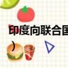 印度向聯合國求援（印度拒絕聯合國物資馳援）