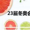 23屆冬奧會獎牌榜排名（23屆冬奧會）
