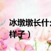 冰墩墩長什么樣子 百度網盤（冰墩墩長什么樣子）