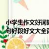 小學生作文好詞好句好段好文大全（關于小學生作文好詞好句好段好文大全簡介）