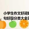 小學生作文好詞好句好段分類大全（關于小學生作文好詞好句好段分類大全簡介）