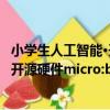 小學生人工智能·開源硬件micro:bit（關于小學生人工智能·開源硬件micro:bit簡介）