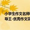 小學生作文名師輔導王-優秀作文（關于小學生作文名師輔導王-優秀作文簡介）