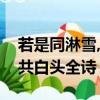 若是同淋雪,此生也算共白頭全詩（此生也算共白頭全詩）