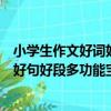 小學生作文好詞好句好段多功能寶典（關于小學生作文好詞好句好段多功能寶典簡介）