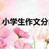 小學生作文分類（關于小學生作文分類簡介）