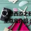 幻想西游之我是至尊寶（關于幻想西游之我是至尊寶介紹）