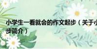 小學生一看就會的作文起步(關于小學生一看就會的作文起步簡介)