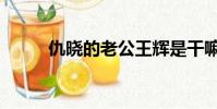 仇曉的老公王輝是干嘛的(仇曉)