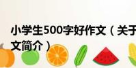 小學生500字好作文(關于小學生500字好作文簡介)