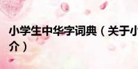 小學生中華字詞典(關于小學生中華字詞典簡介)