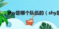 shy是哪個隊伍的(shy是哪個戰隊的)