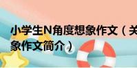 小學生N角度想象作文(關于小學生N角度想象作文簡介)