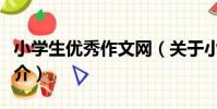 小學生優秀作文網(關于小學生優秀作文網簡介)
