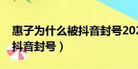 惠子為什么被抖音封號2021(惠子為什么被抖音封號)
