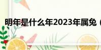 明年是什么年2023年屬兔(明年是什么年)