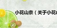 小花山柰(關于小花山柰簡介)