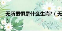 無所畏懼是什么生肖?(無所畏懼是什么生肖)