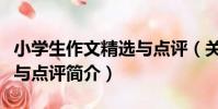 小學生作文精選與點評(關于小學生作文精選與點評簡介)