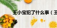 王小寶犯了什么事(王小寶打人)