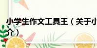 小學生作文工具王(關于小學生作文工具王簡介)