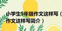 小學生5年級作文這樣寫(關于小學生5年級作文這樣寫簡介)
