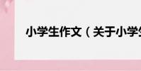 小學生作文(關于小學生作文簡介)